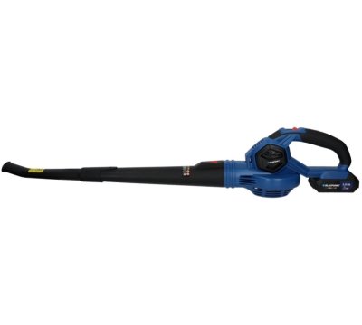 Blaupunkt CB2010