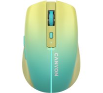 Canyon MW-44