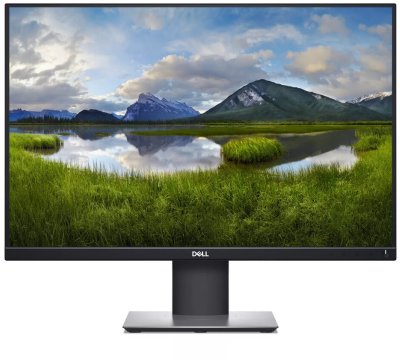 Dell P2421
