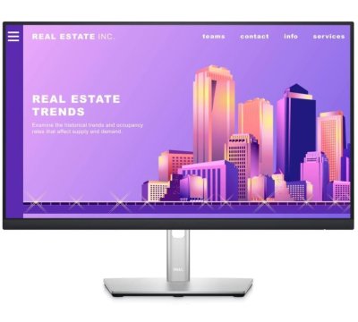 Dell P2422HE