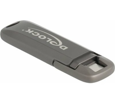 Delock 54013 512GB