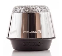 Evelatus ESP01