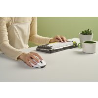 Asus MD105 product thumbnail