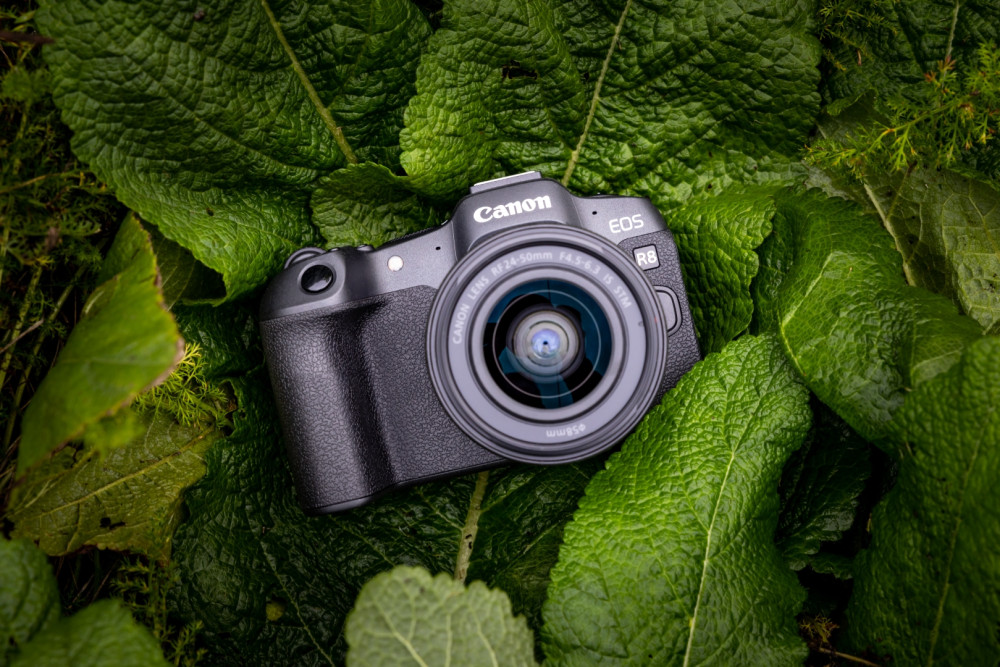 Canon EOS R8 product photo
