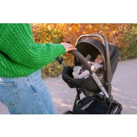 Chicco One4Ever product thumbnail