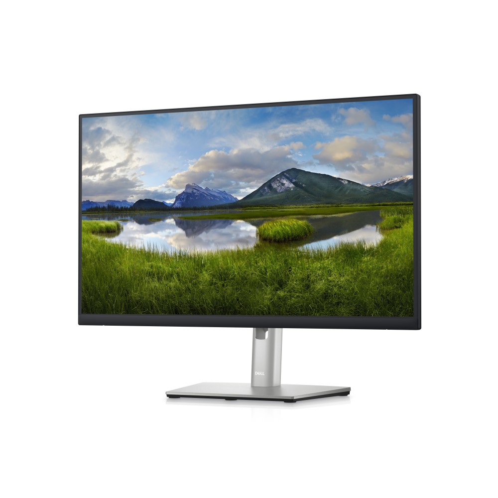Dell P2423D product photo