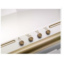 Electrolux EFC226V product thumbnail