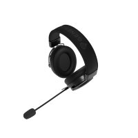 Genesis Toron 301 product thumbnail