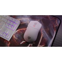 Genesis Zircon 500 product thumbnail