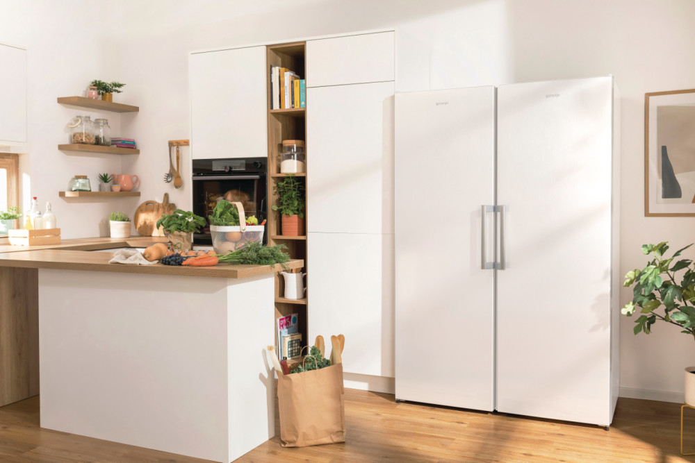 Gorenje R619EEW5 product photo