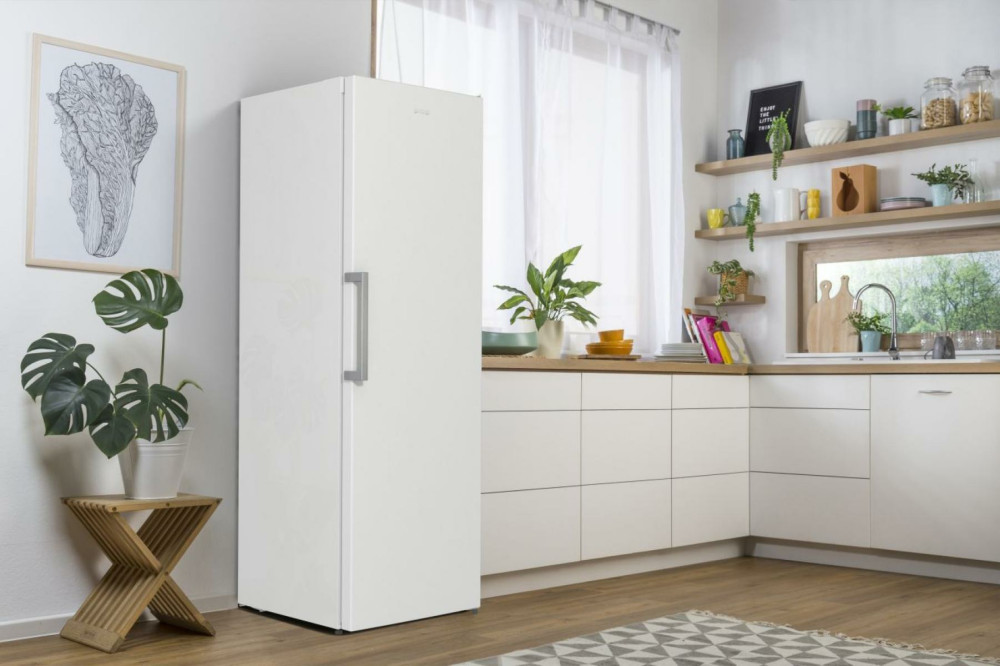 Gorenje R619EEW5 product photo