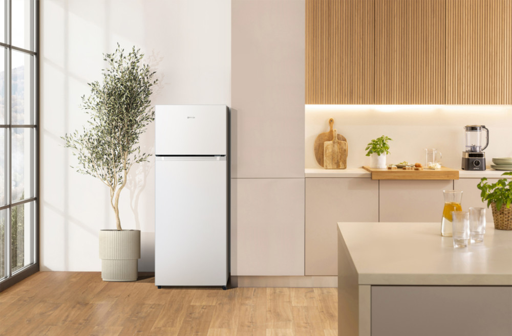 Gorenje RF4142PW4 product photo