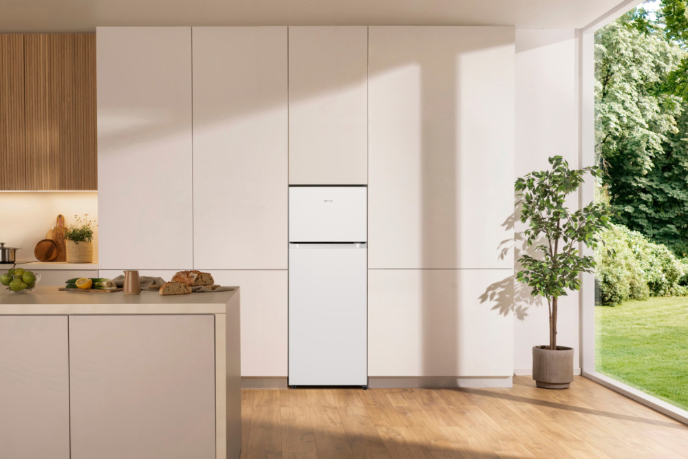 Gorenje RF4142PW4 product photo