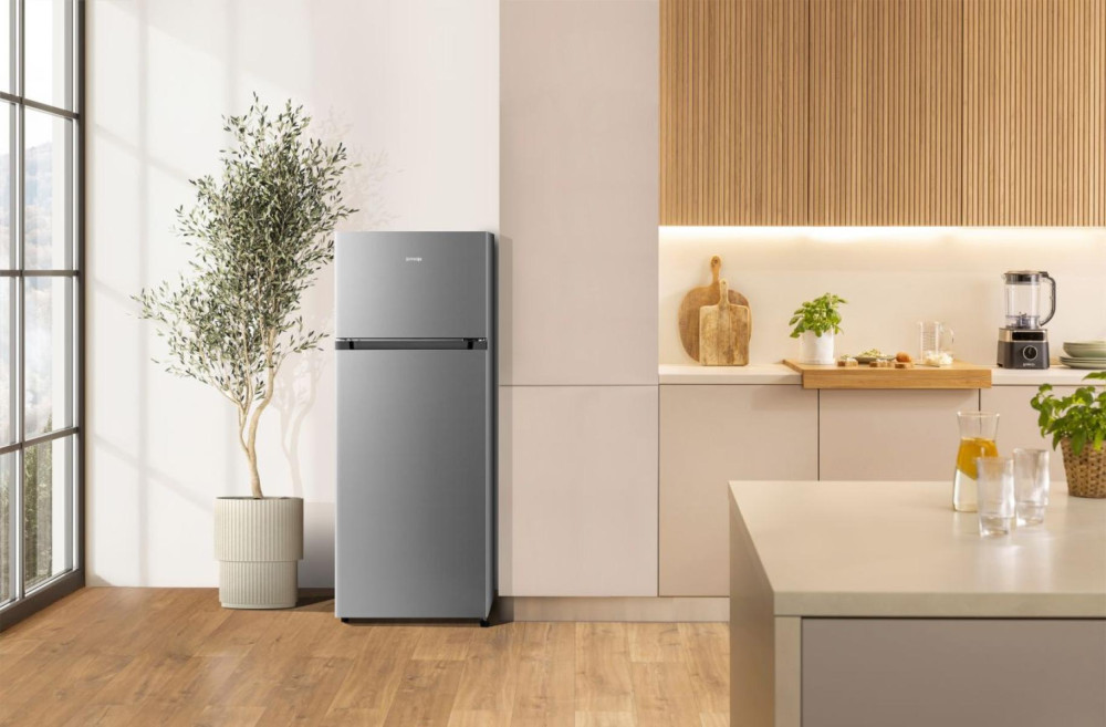 Gorenje RF414EPS4 product photo