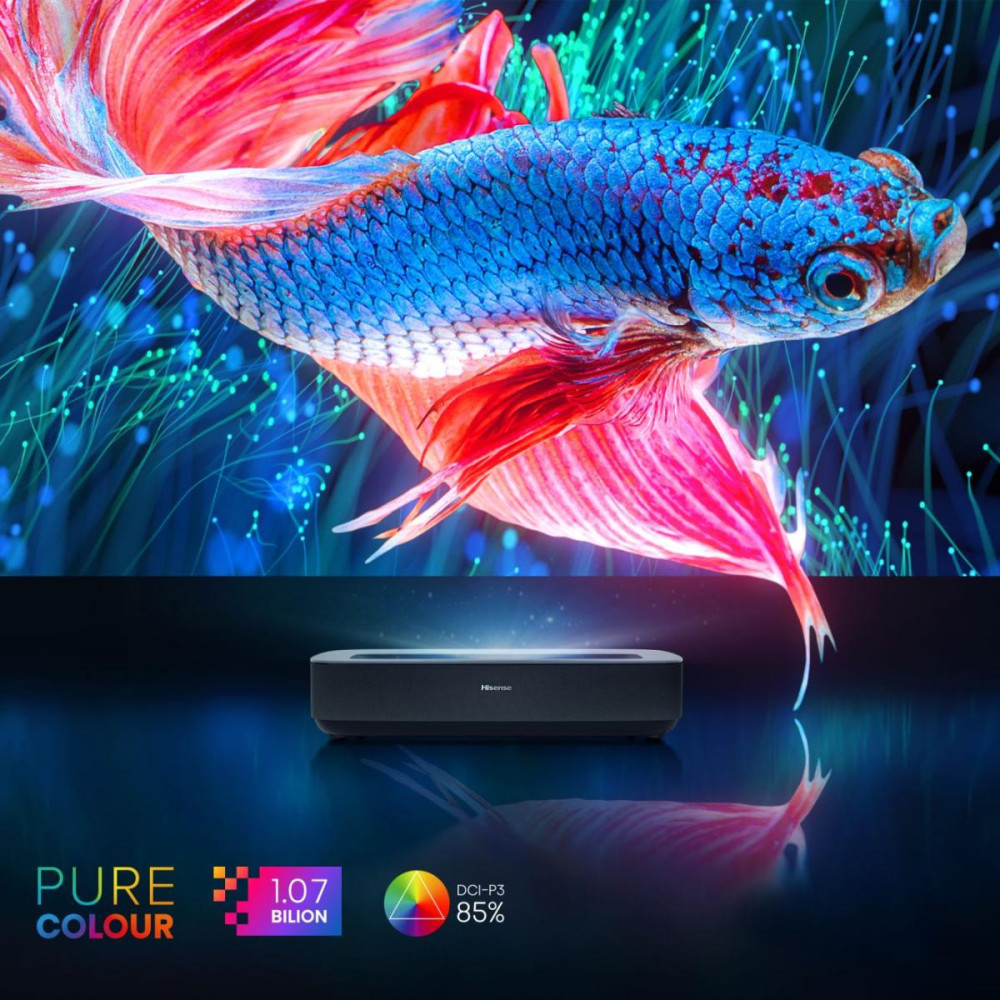 Hisense PL1SE product photo