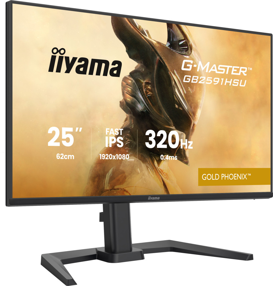 Iiyama G-Master GB2591HSU-B1 product photo