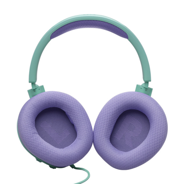 JBL Quantum 100M2 product photo