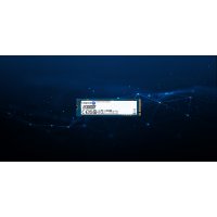 Kingston DC2000B product thumbnail