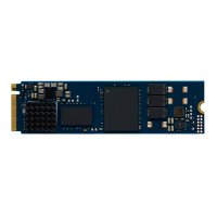 Kingston DC2000B product thumbnail