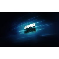 Kingston DC3000ME product thumbnail