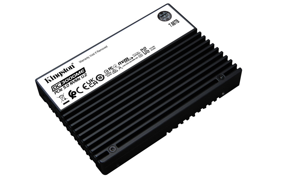 Kingston DC3000ME product photo