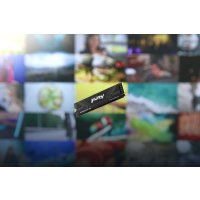 Kingston Renegade G5 product thumbnail