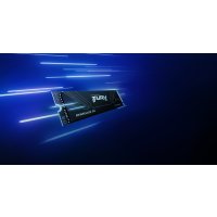 Kingston Renegade G5 product thumbnail