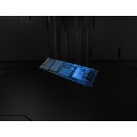 Kingston Renegade G5 product thumbnail
