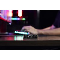 Kingston Renegade G5 product thumbnail