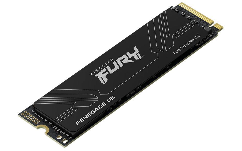 Kingston Renegade G5 product photo