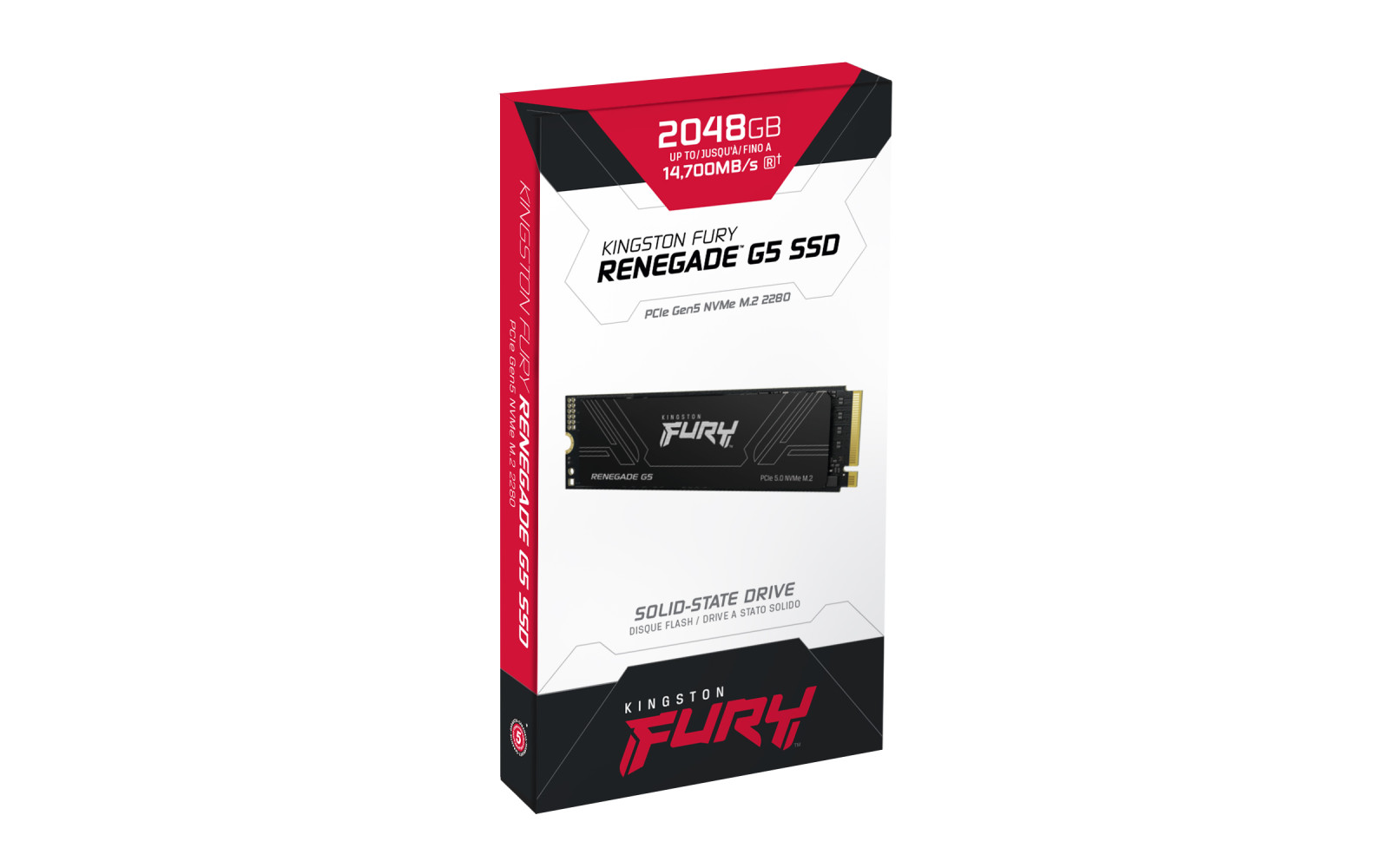 Kingston Renegade G5 product photo