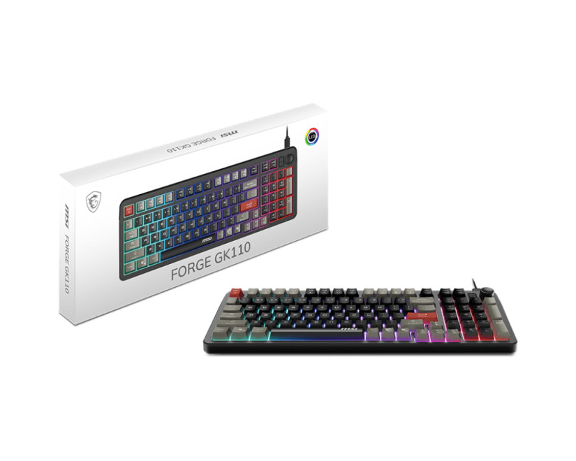 MSI Forge GK110 product photo