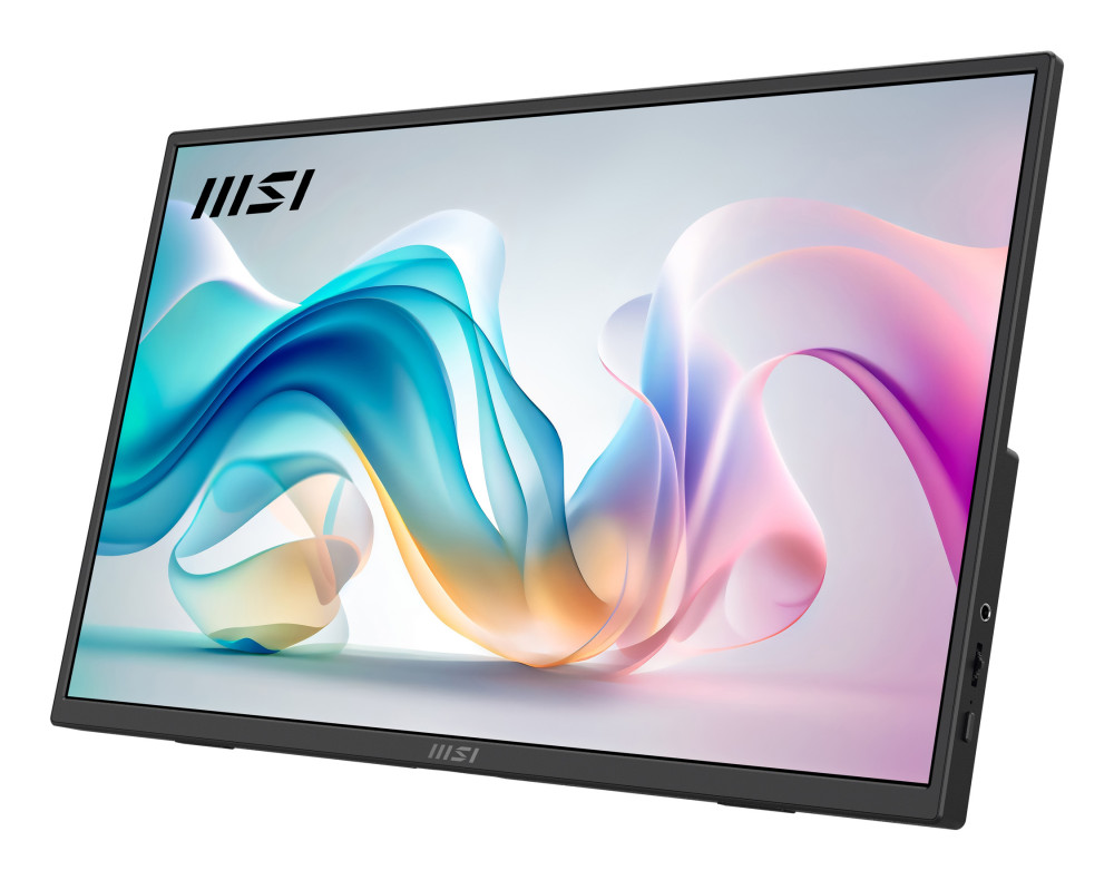 MSI Pro MP165DE E6 product photo