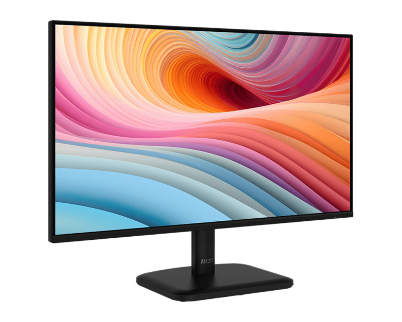 MSI PRO MP251L E2 product photo