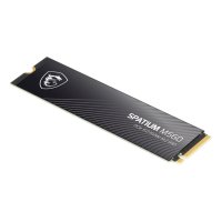 MSI Spatium M560 1TB product thumbnail