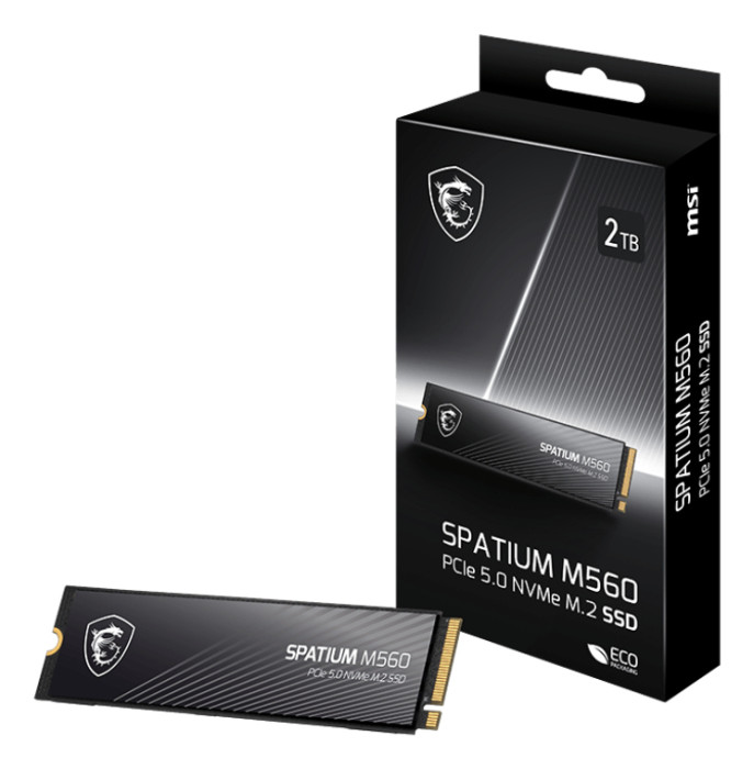MSI Spatium M560 product photo