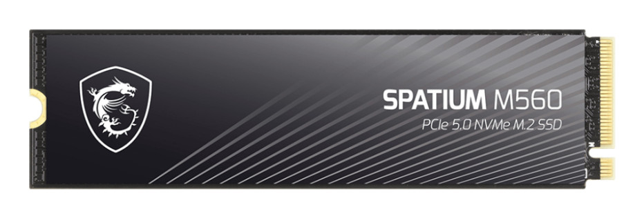 MSI Spatium M560 product photo