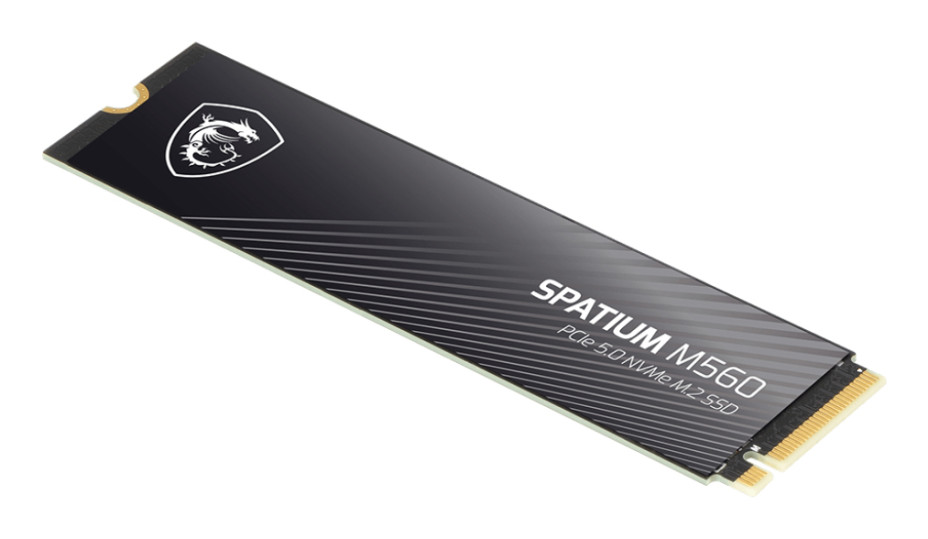 MSI Spatium M560 product photo