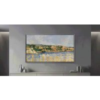 Samsung QE48S95HAEXXH 48" product thumbnail