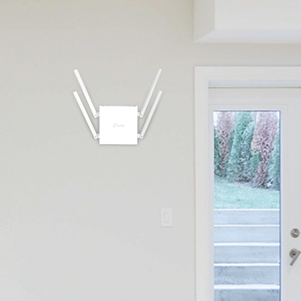 TP-LINK Archer C24 product photo