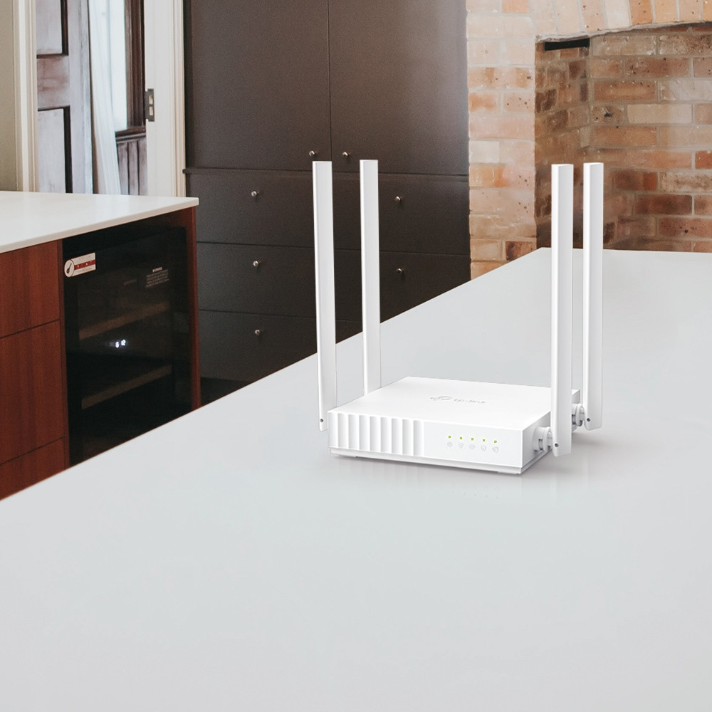 TP-LINK Archer C24 product photo