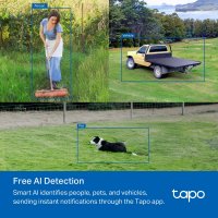 TP-Link TAPO C501GW product thumbnail