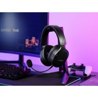 Trust GXT 491 Fayzo product thumbnail