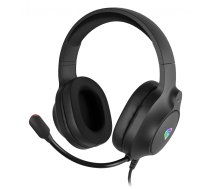 Genesis Neon 213