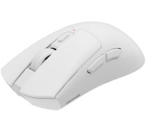 Genesis Zircon 880