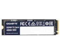 Gigabyte 4000E 250GB