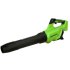 Greenworks GD40ABIIK2X product thumbnail