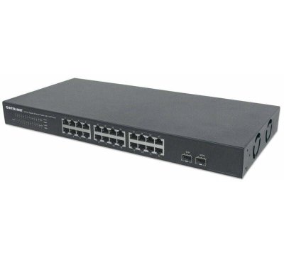 Intellinet 561044