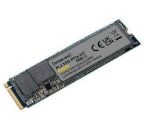 Intenso MI500 500GB