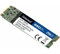 Intenso Top 256GB